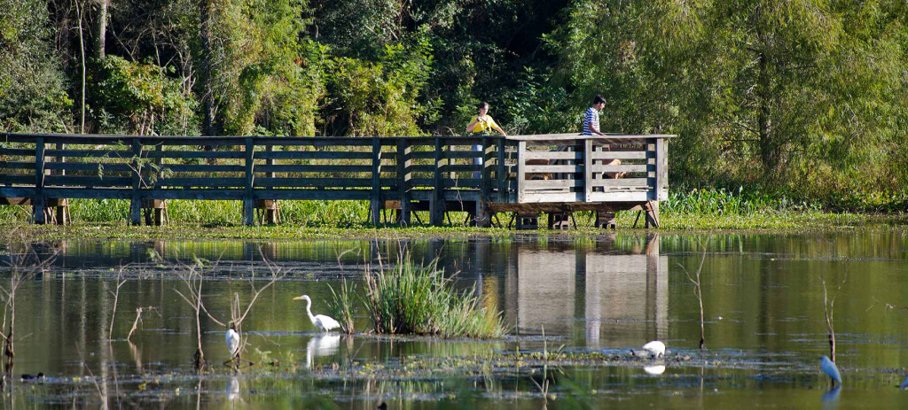 brazos bend